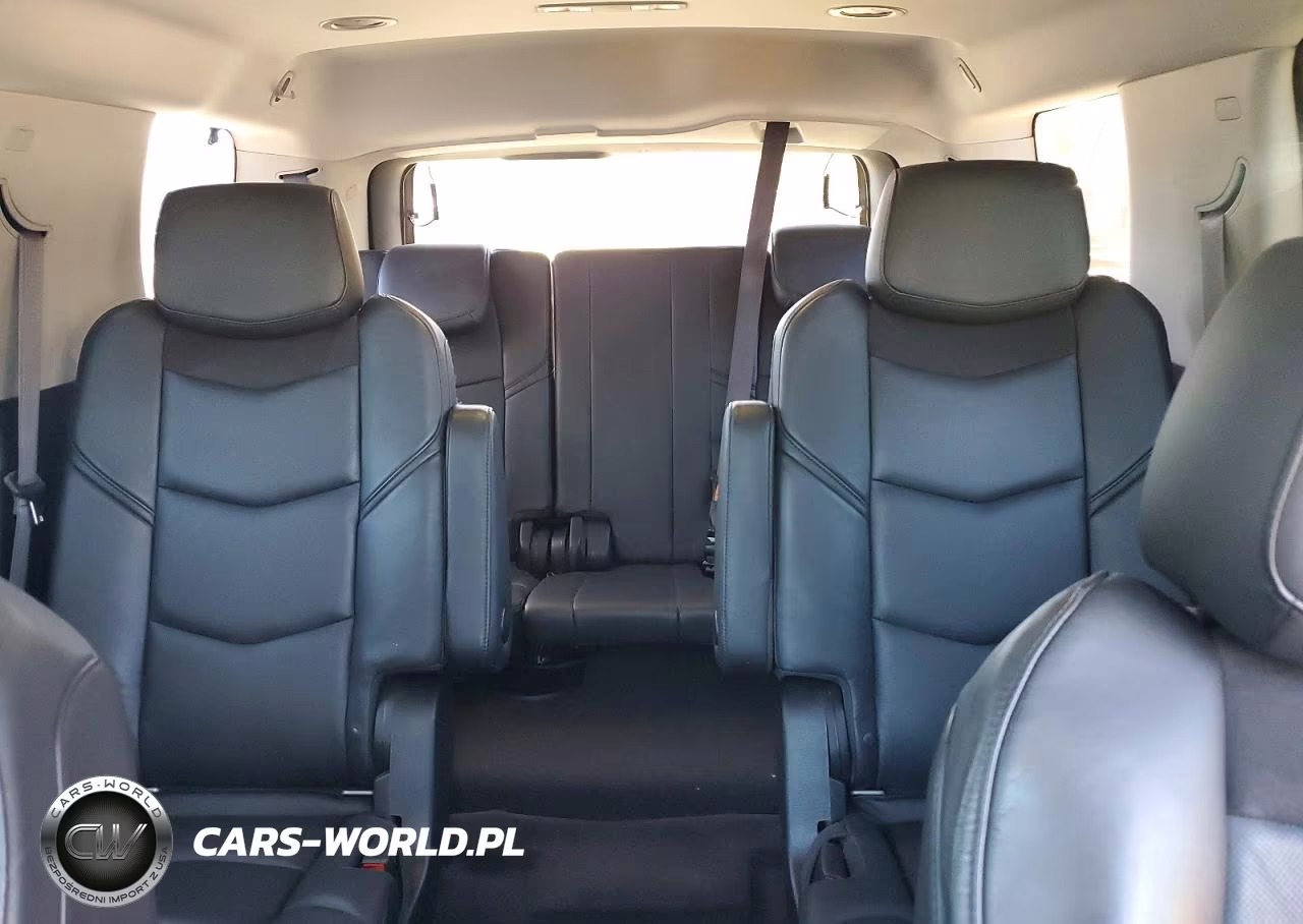 2015 Cadillac Escalade Premium VIN:1GYS4CKJ3FR309223 - 10