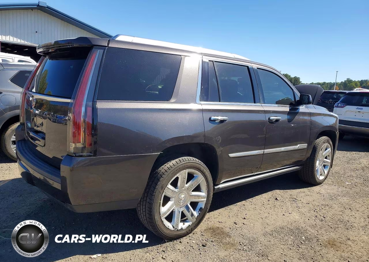 2015 Cadillac Escalade Premium VIN:1GYS4CKJ3FR309223 - 3