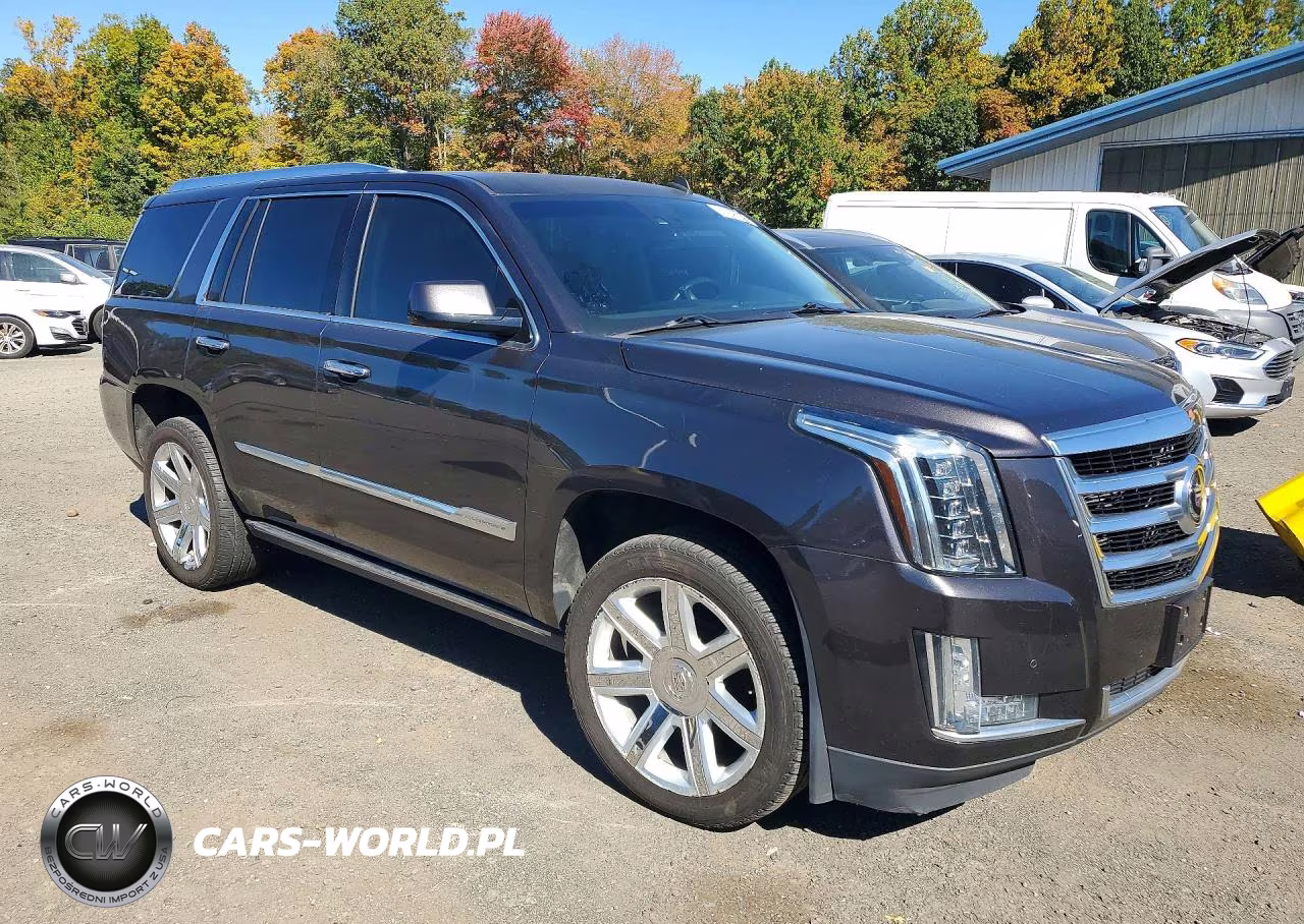 2015 Cadillac Escalade Premium VIN:1GYS4CKJ3FR309223 - 4