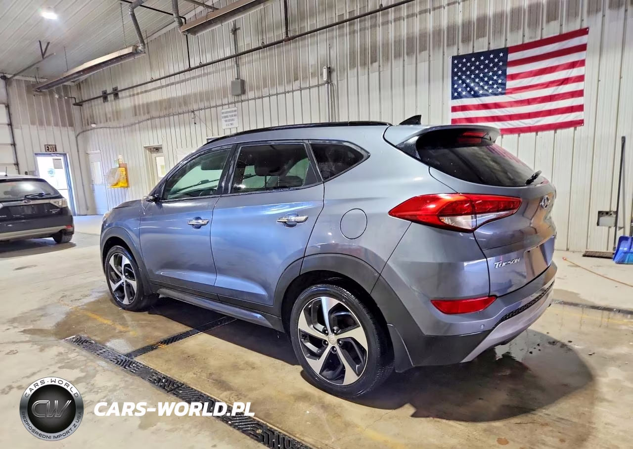 2016 Hyundai Tucson Limited VIN:KM8J3CA23GU217067 - 2