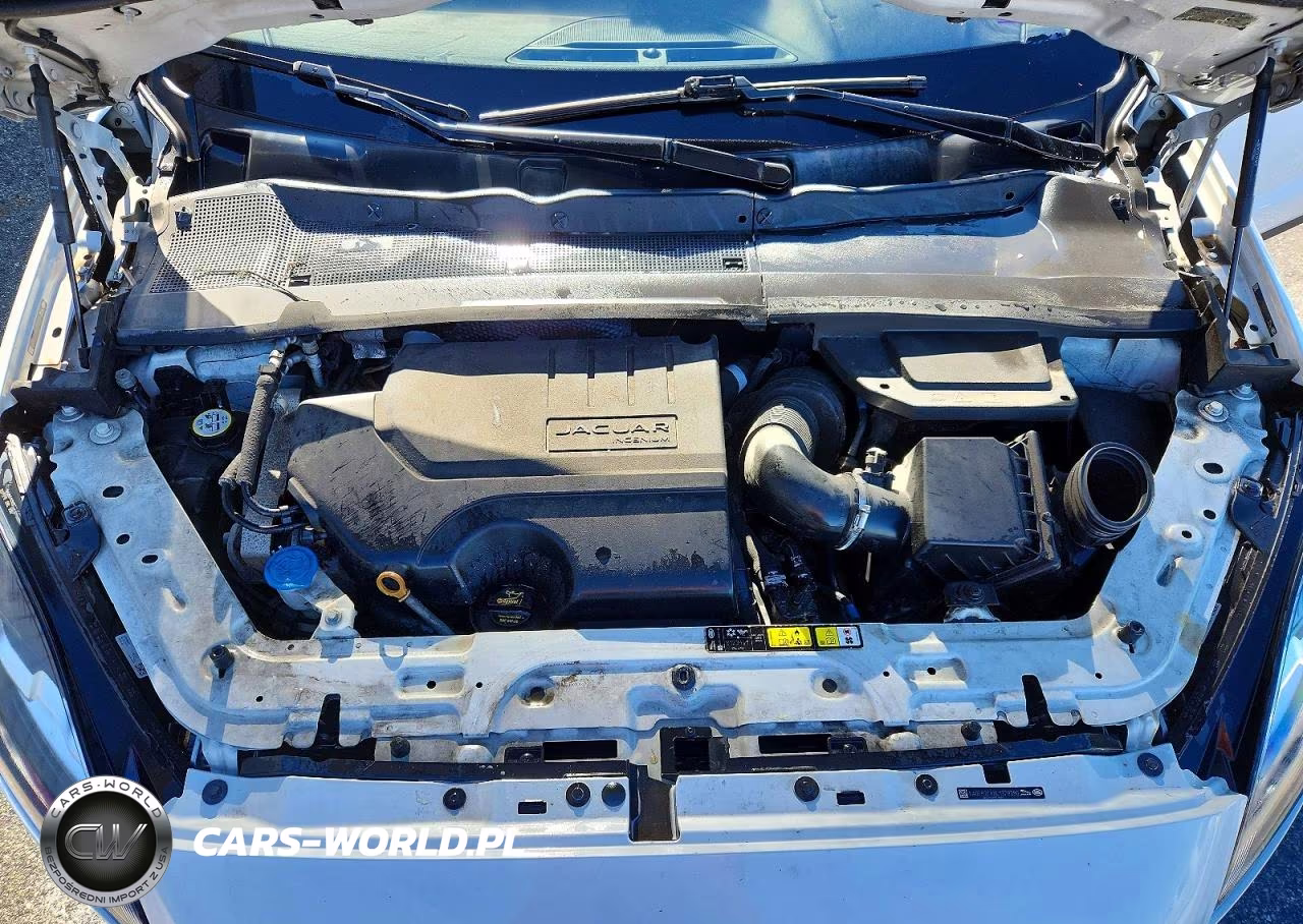 2020 Jaguar E-Pace Se VIN:SADFP2FXXL1Z79390 - 12