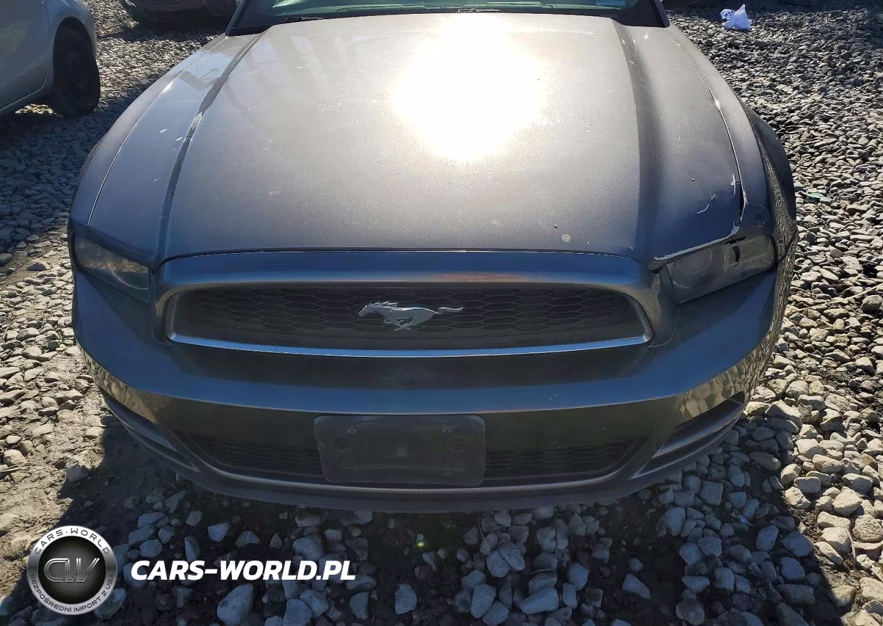 2014 Ford Mustang VIN:1ZVBP8AMXE5329946 - 11