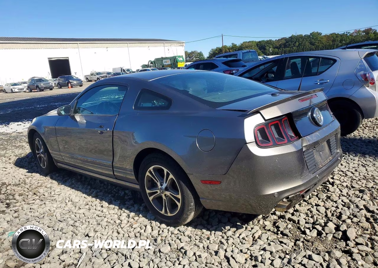 2014 Ford Mustang VIN:1ZVBP8AMXE5329946 - 2