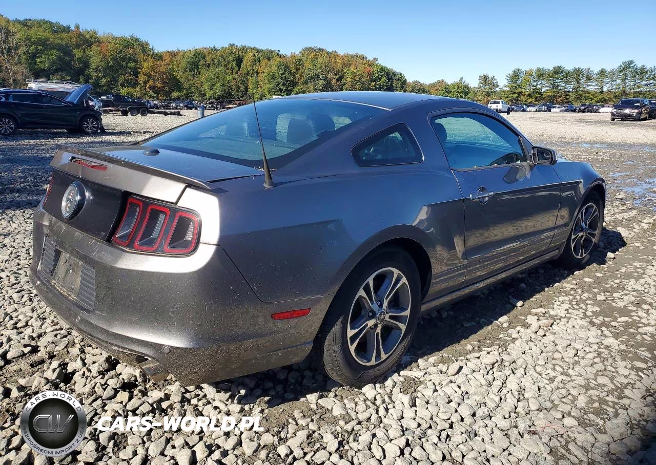 2014 Ford Mustang VIN:1ZVBP8AMXE5329946 - 3