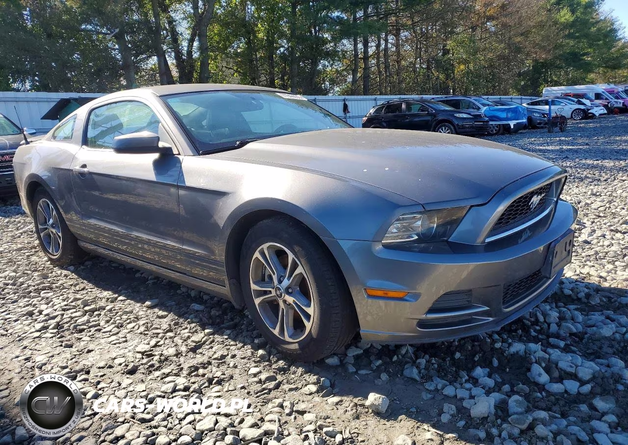 2014 Ford Mustang VIN:1ZVBP8AMXE5329946 - 4