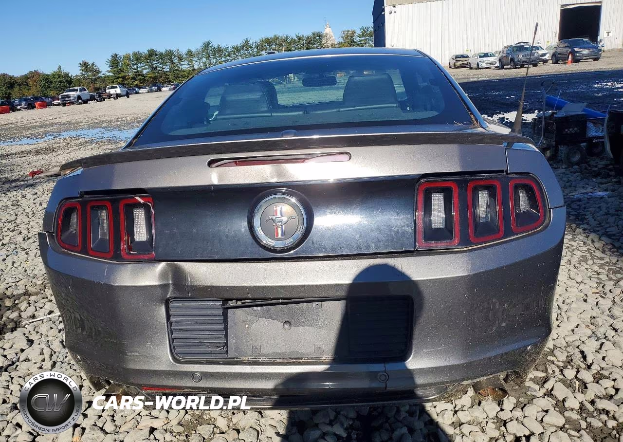 2014 Ford Mustang VIN:1ZVBP8AMXE5329946 - 6