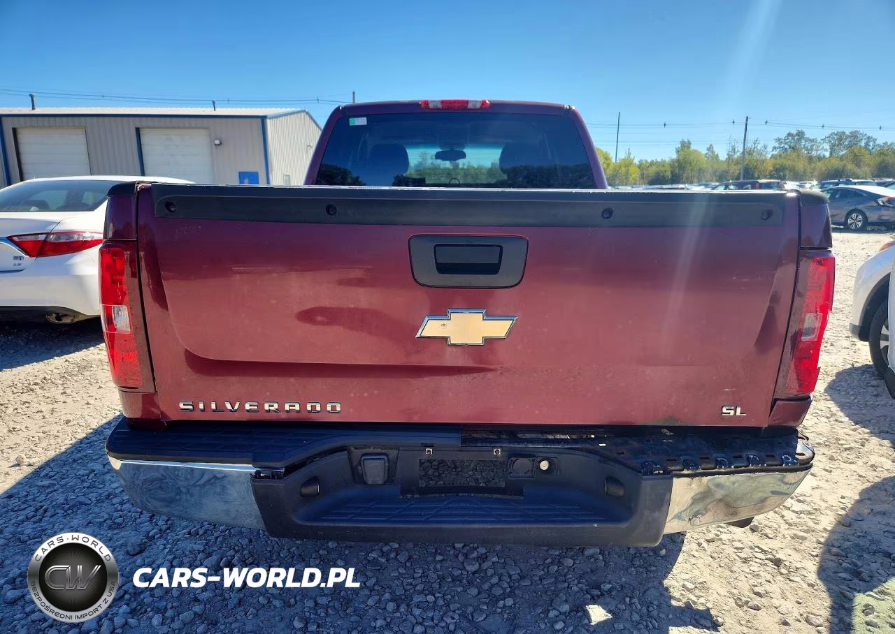 2009 Chevrolet Silverado K1500 Lt VIN:2GCEK29CX91105395 - 6