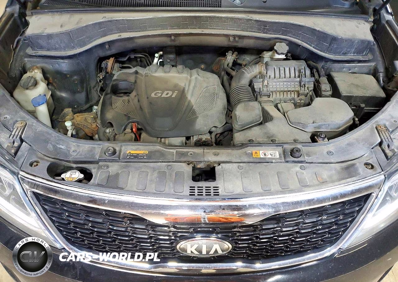 2014 Kia Sorento Lx VIN:5XYKTCA6XEG509289 - 12