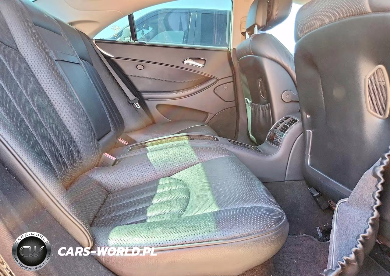 2009 Mercedes-Benz Cls-Class Cls550 VIN:WDDDJ72X59A148014 - 10
