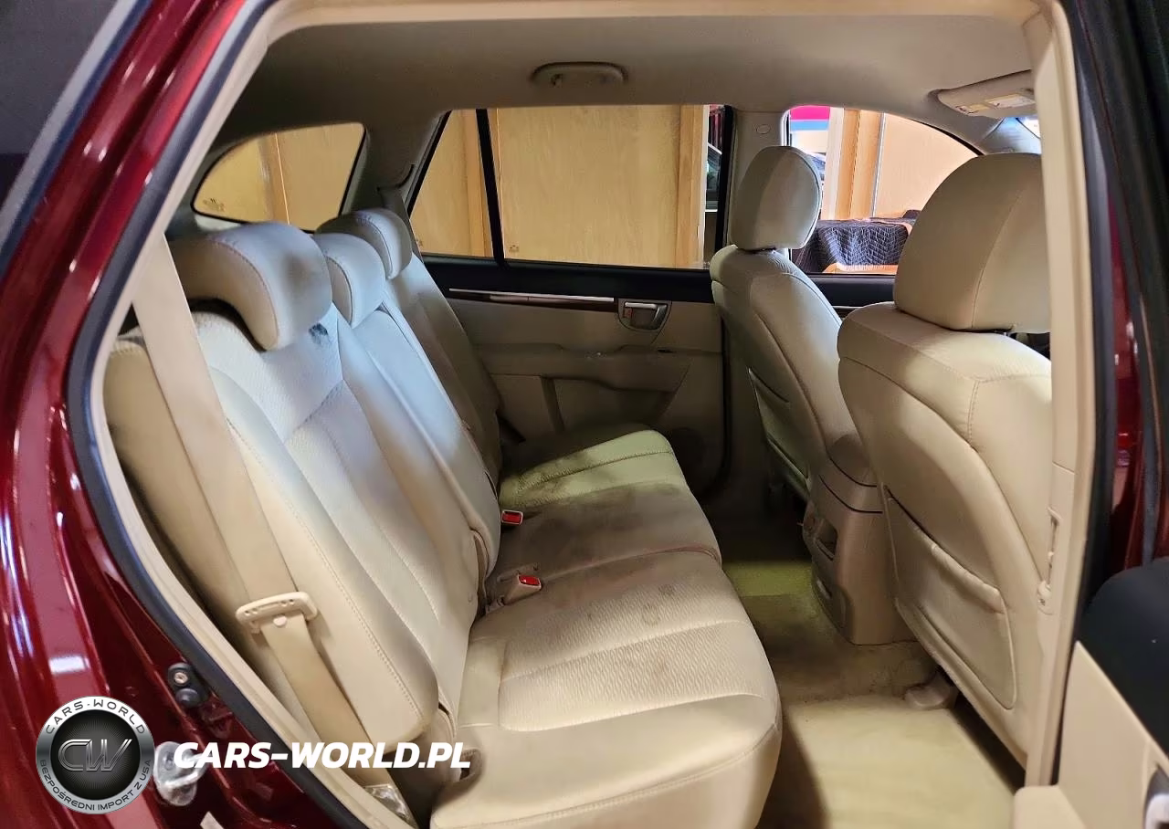 2009 Hyundai Santa Fe Gls VIN:5NMSG13D09H316066 - 11