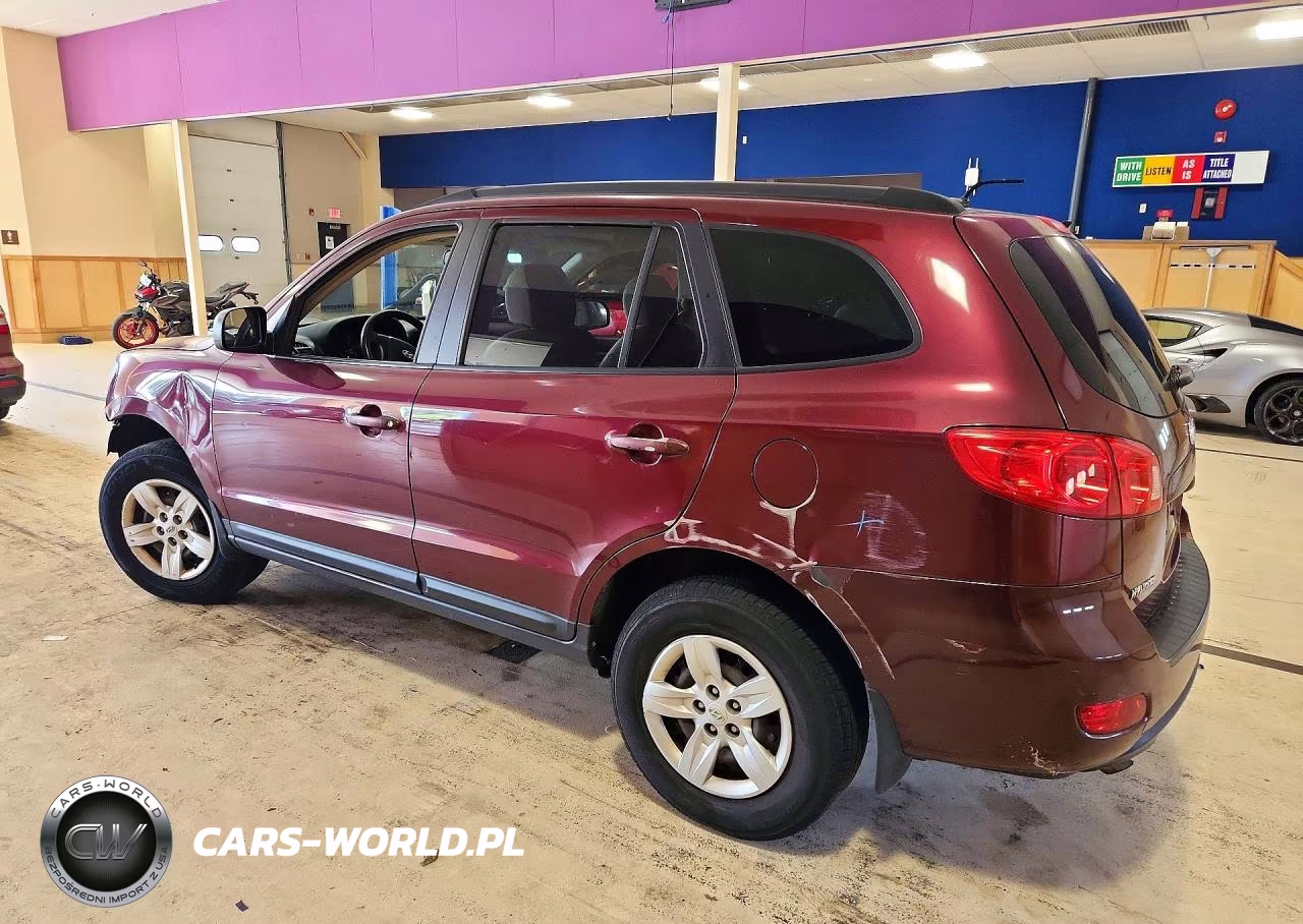 2009 Hyundai Santa Fe Gls VIN:5NMSG13D09H316066 - 2