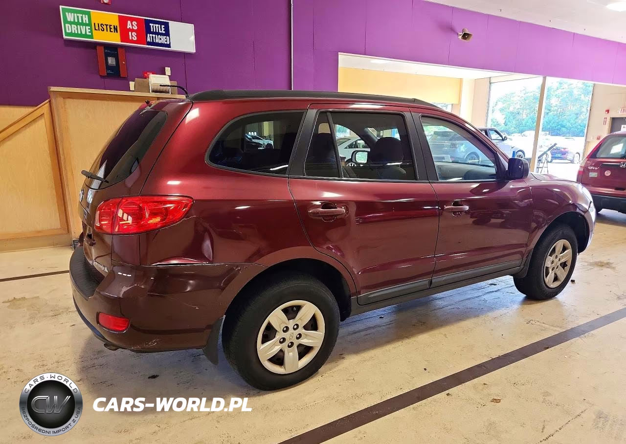 2009 Hyundai Santa Fe Gls VIN:5NMSG13D09H316066 - 3