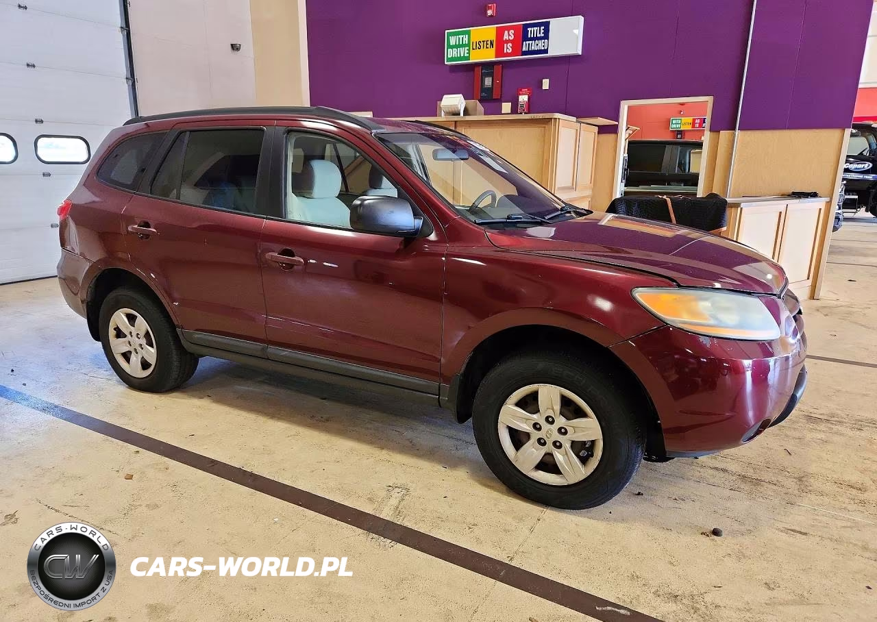 2009 Hyundai Santa Fe Gls VIN:5NMSG13D09H316066 - 4