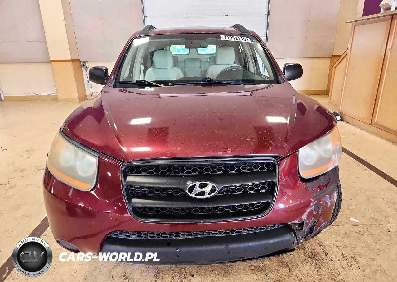 2009 Hyundai Santa Fe Gls VIN:5NMSG13D09H316066 - 5