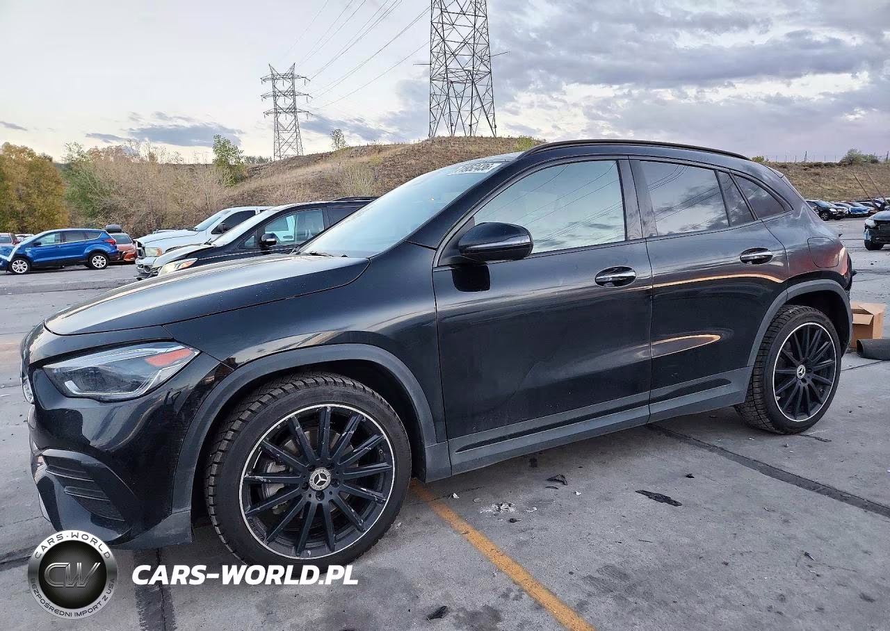 2021 Mercedes-Benz Gla 250 4Matic VIN:W1N4N4HB4MJ251368 - 1