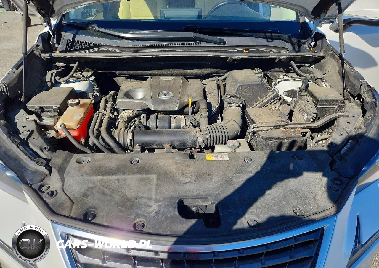 2018 Lexus Nx 300 Base VIN:JTJBARBZ6J2161297 - 12