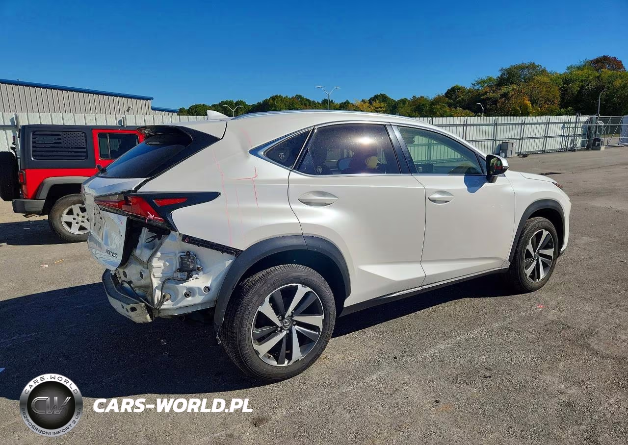 2018 Lexus Nx 300 Base VIN:JTJBARBZ6J2161297 - 3