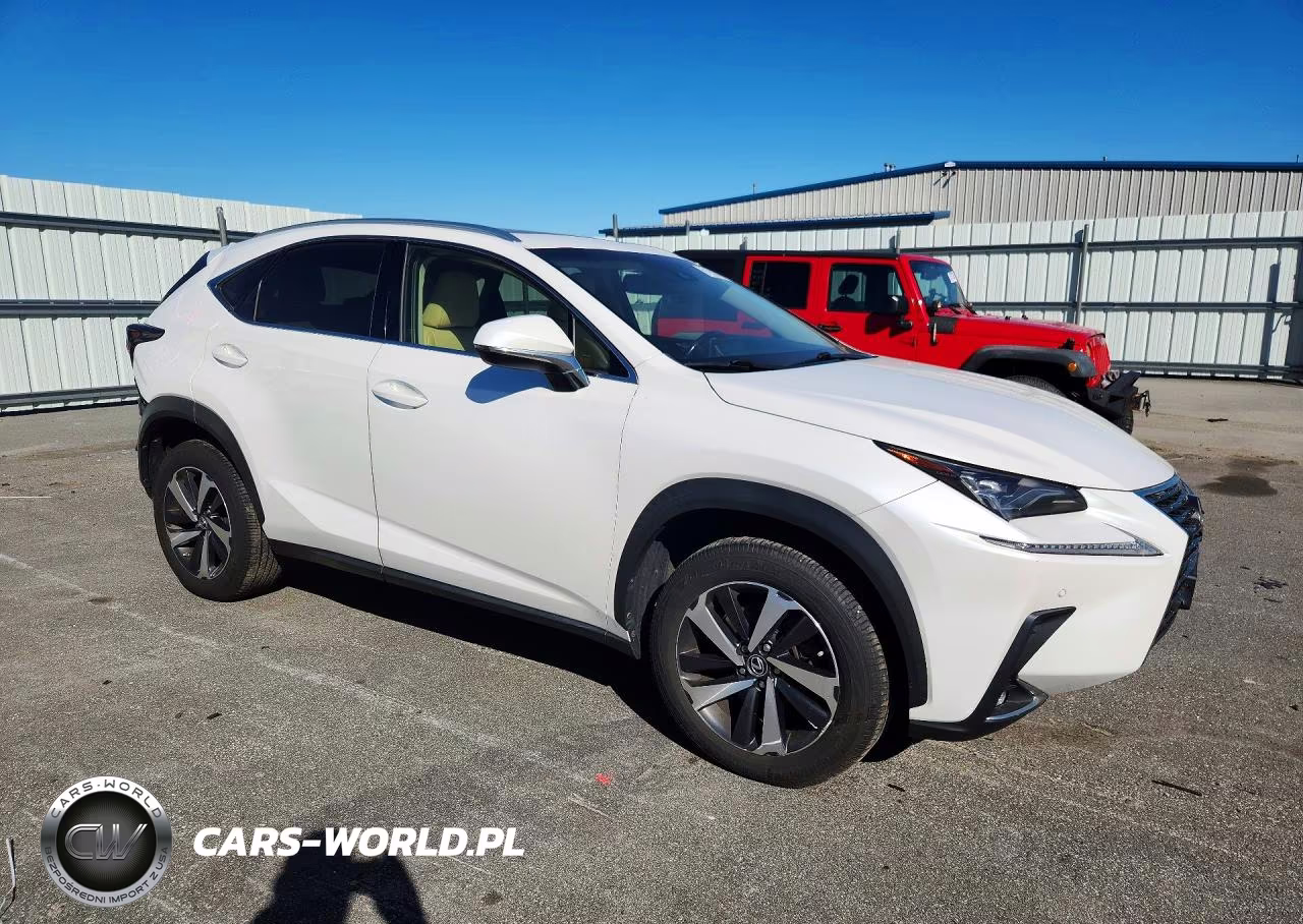 2018 Lexus Nx 300 Base VIN:JTJBARBZ6J2161297 - 4