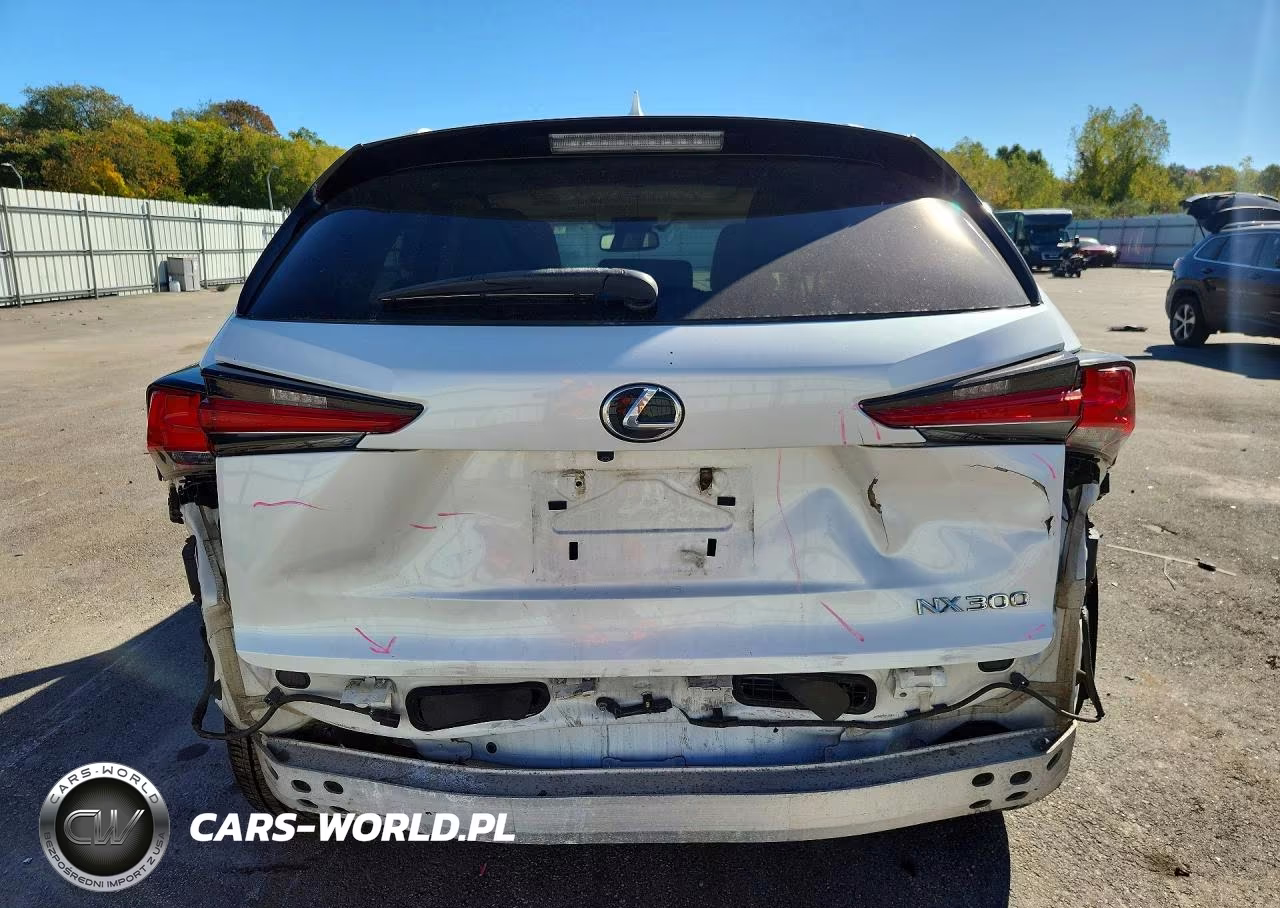 2018 Lexus Nx 300 Base VIN:JTJBARBZ6J2161297 - 6