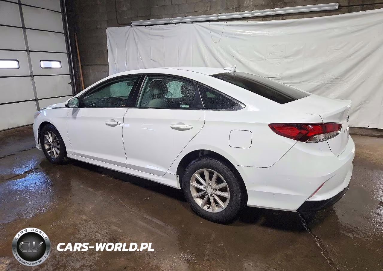 2019 Hyundai Sonata Se VIN:5NPE24AF7KH742475 - 2