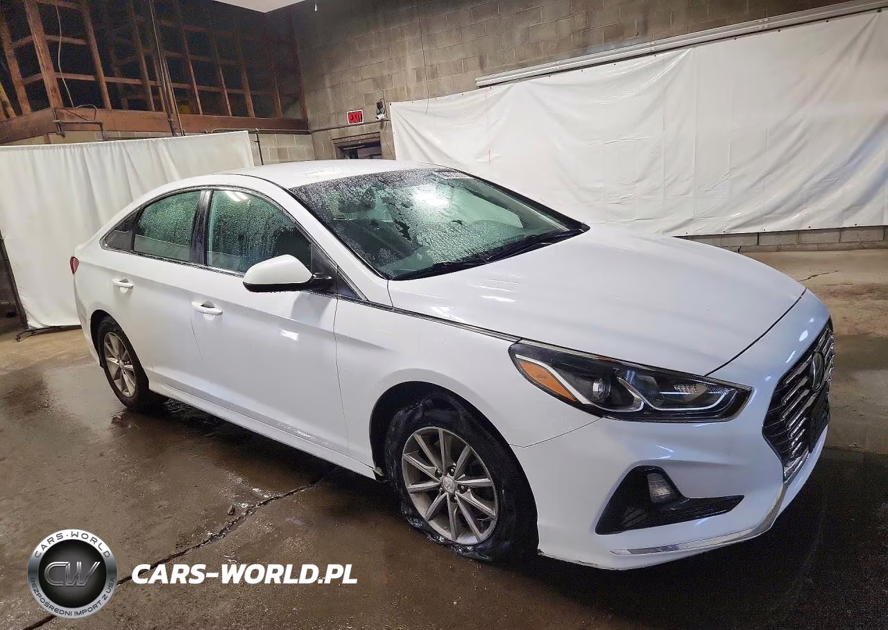 2019 Hyundai Sonata Se VIN:5NPE24AF7KH742475 - 4