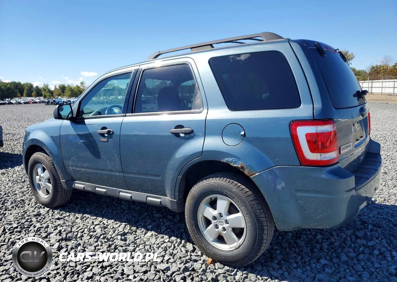2010 Ford Escape Xlt VIN:1FMCU0DG5AKC24259 - 2