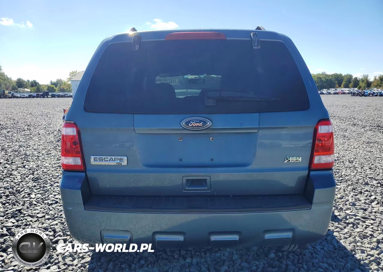 2010 Ford Escape Xlt VIN:1FMCU0DG5AKC24259 - 6