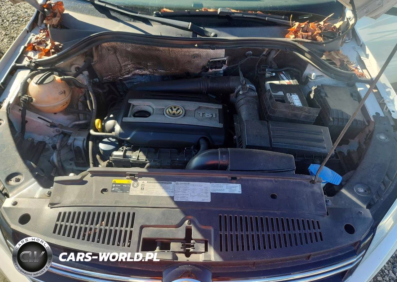 2017 Volkswagen Tiguan S VIN:WVGAV7AXXHW508443 - 12