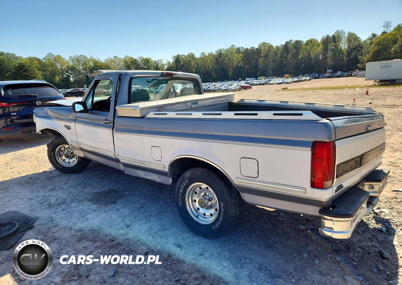 1995 Ford F150 VIN:1FTEF15N0SNA69971 - 2
