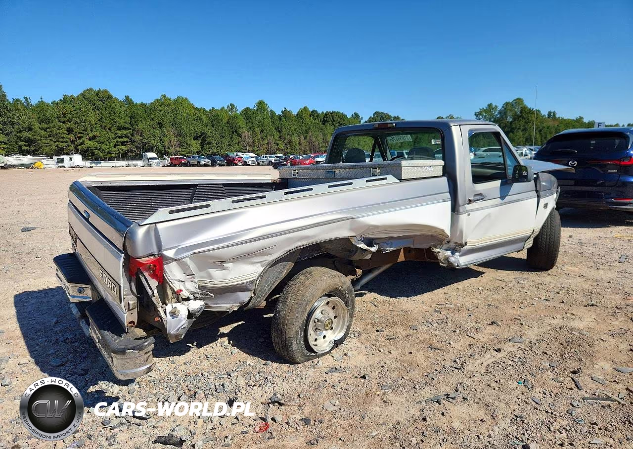 1995 Ford F150 VIN:1FTEF15N0SNA69971 - 3