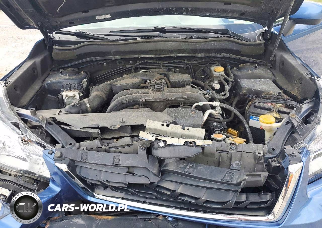 2017 Subaru Forester 2.5I Premium VIN:JF2SJAEC9HH521098 - 12