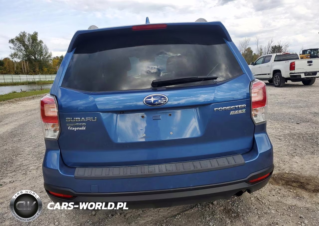 2017 Subaru Forester 2.5I Premium VIN:JF2SJAEC9HH521098 - 6