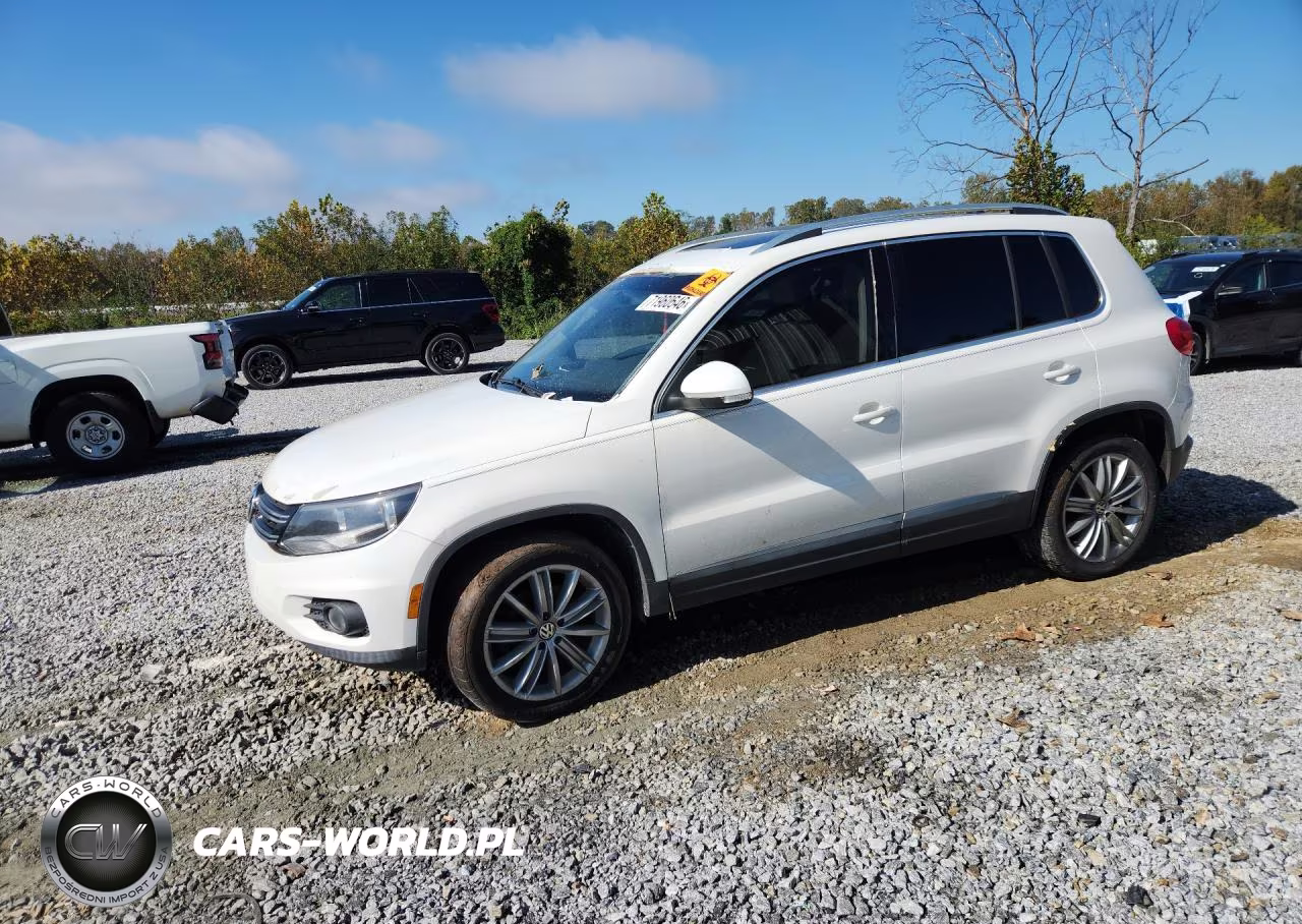 2013 Volkswagen Tiguan S VIN:WVGAV3AX9DW567843 - 1