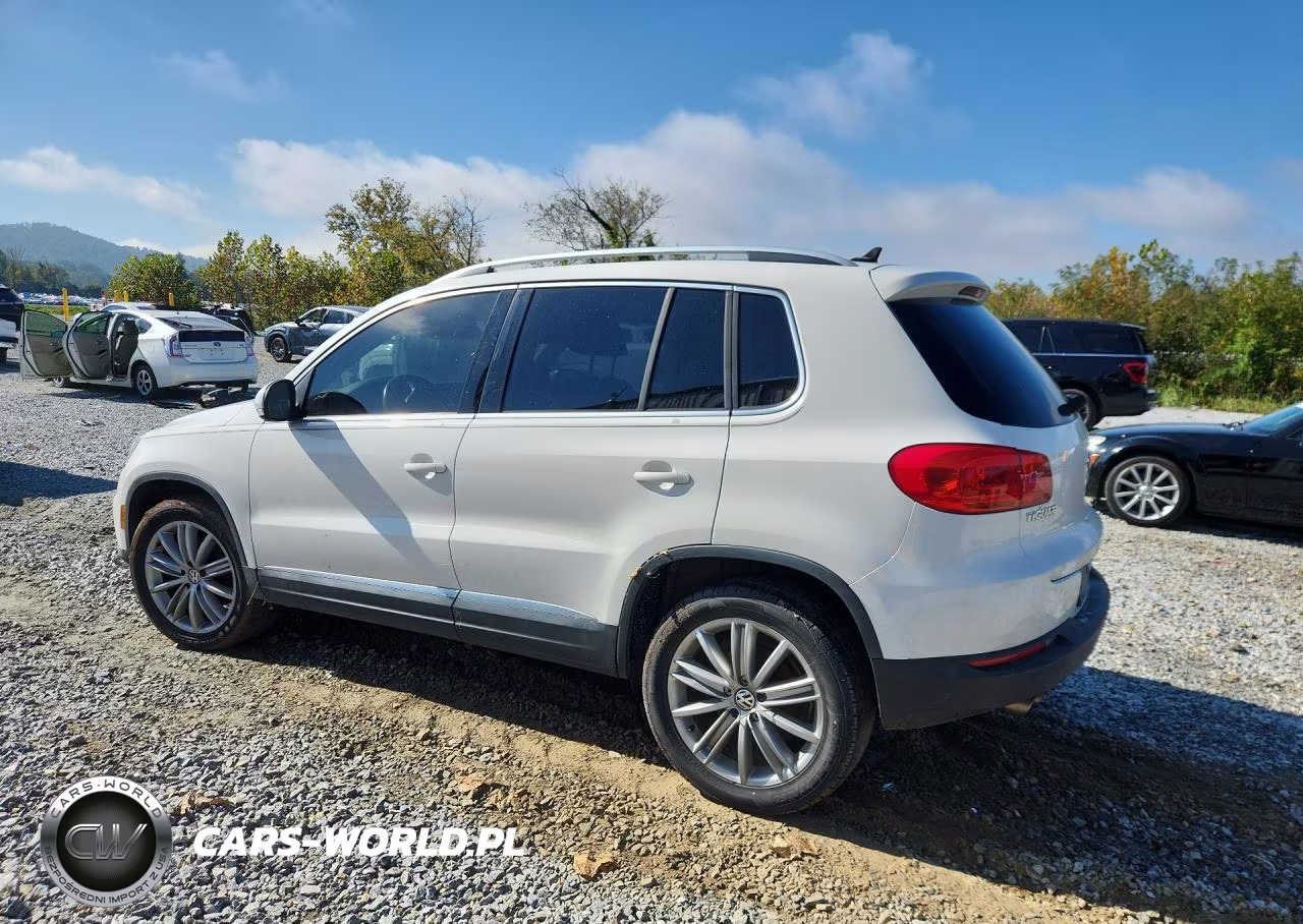 2013 Volkswagen Tiguan S VIN:WVGAV3AX9DW567843 - 2
