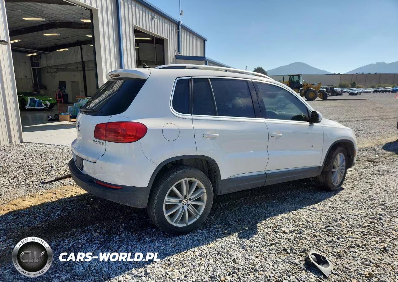 2013 Volkswagen Tiguan S VIN:WVGAV3AX9DW567843 - 3