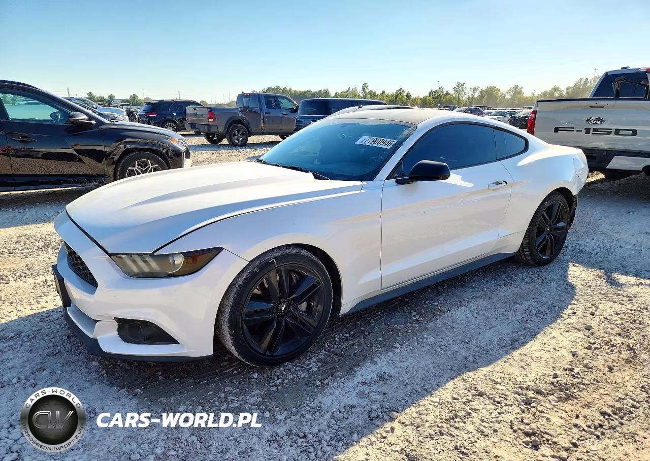 2017 Ford Mustang – zdjęcie 1 z 13