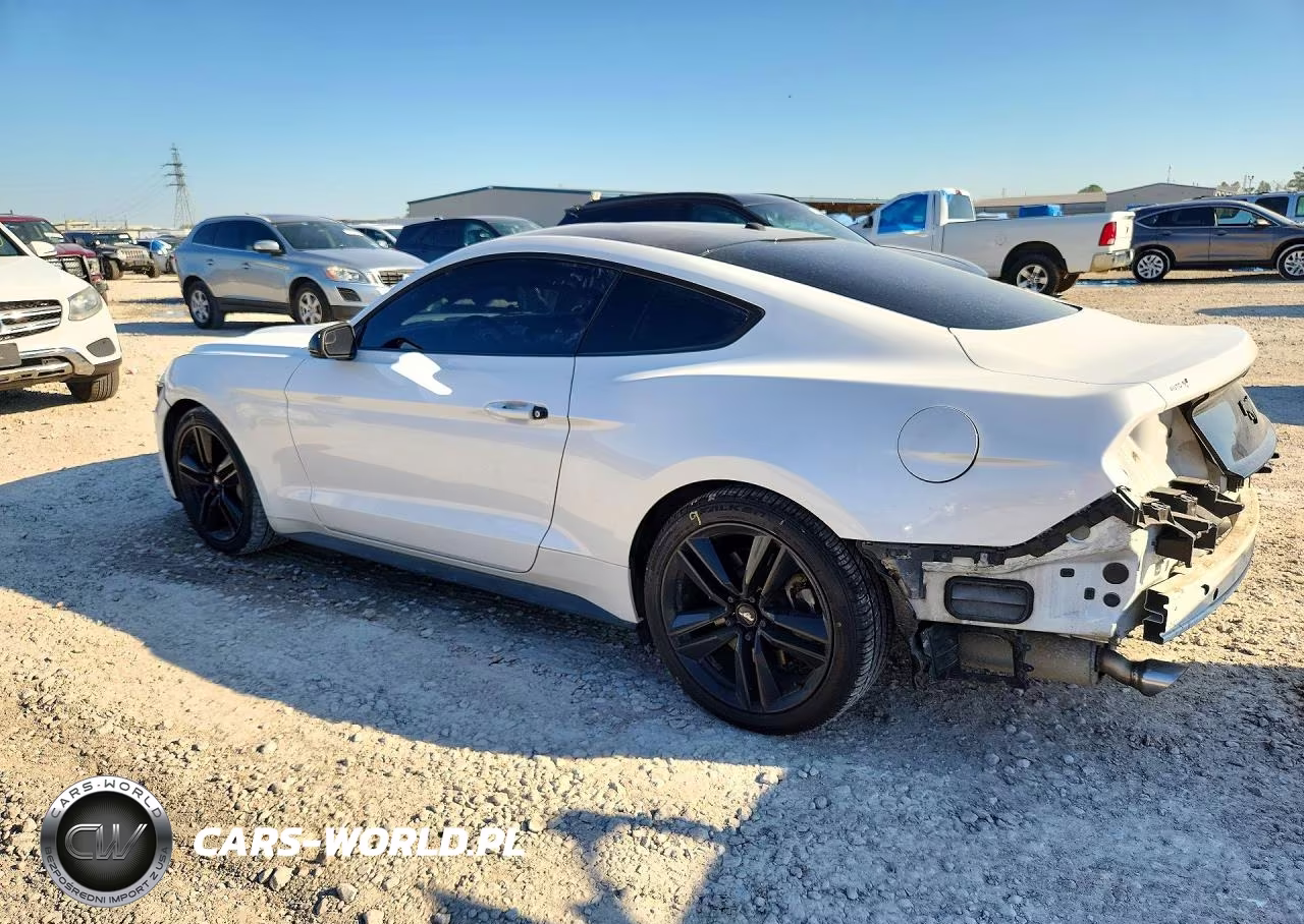 2017 Ford Mustang VIN:1FA6P8TH1H5210021 - 2