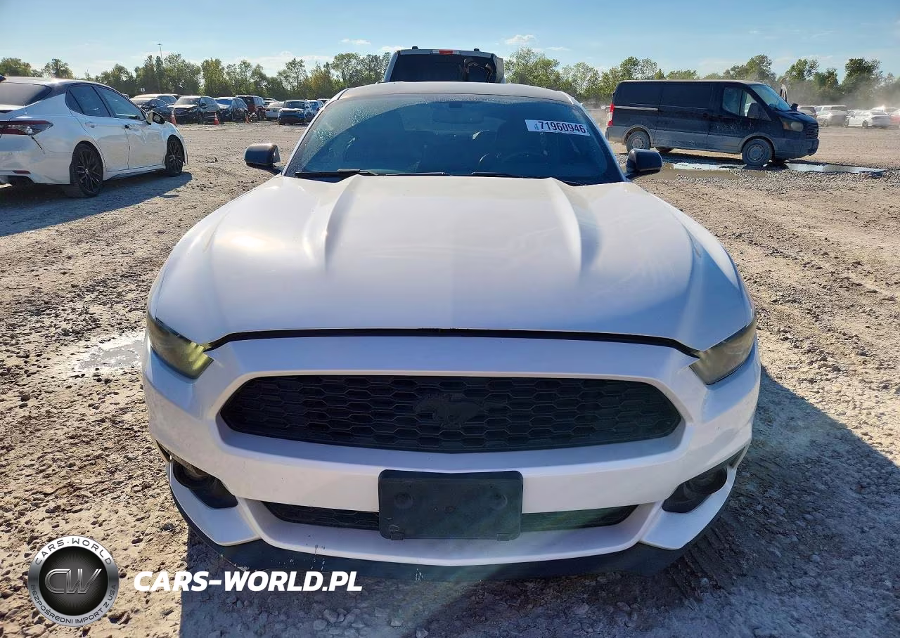 2017 Ford Mustang VIN:1FA6P8TH1H5210021 - 5