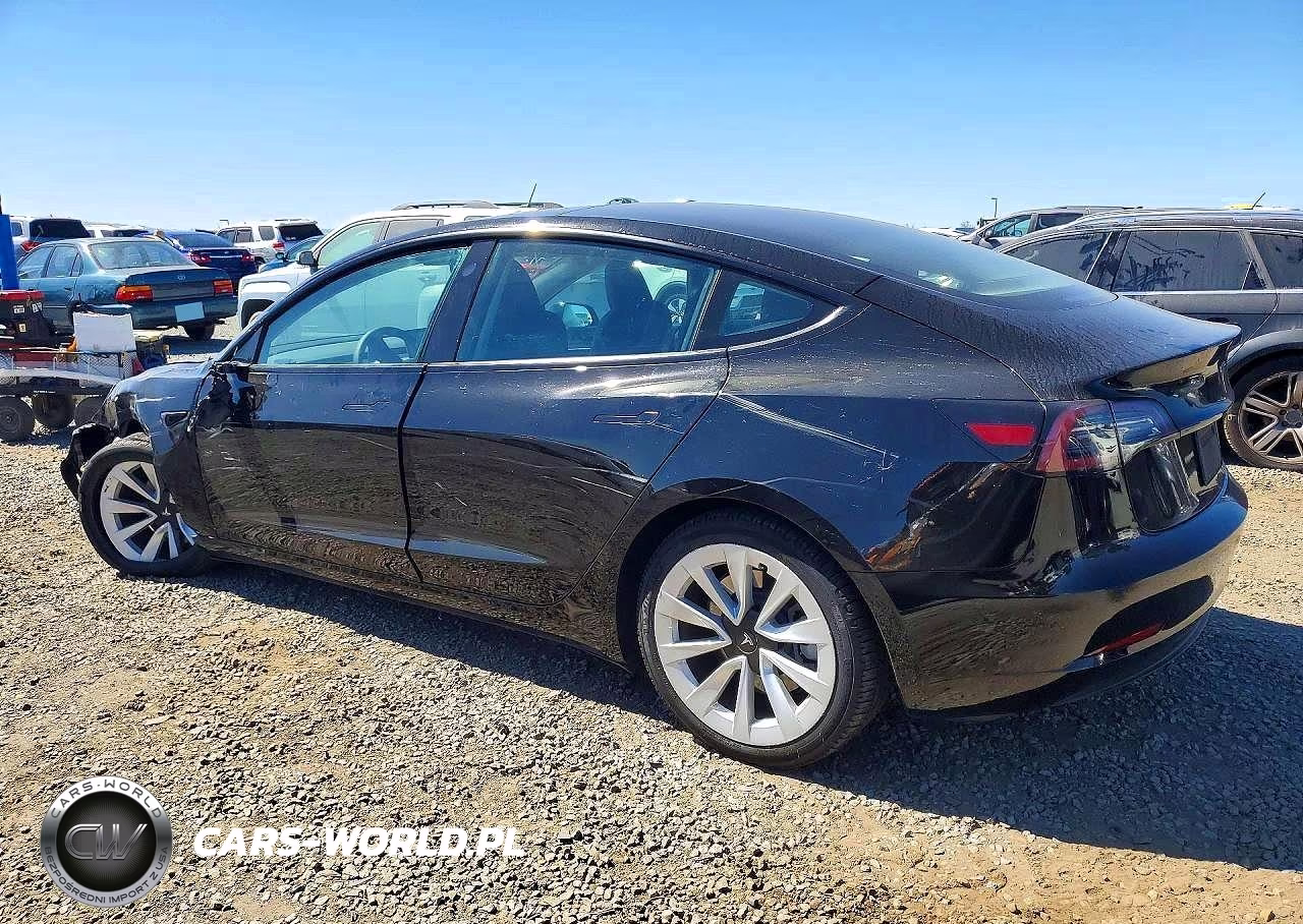 2023 Tesla Model 3 VIN:5YJ3E1EAXPF572923 - 2