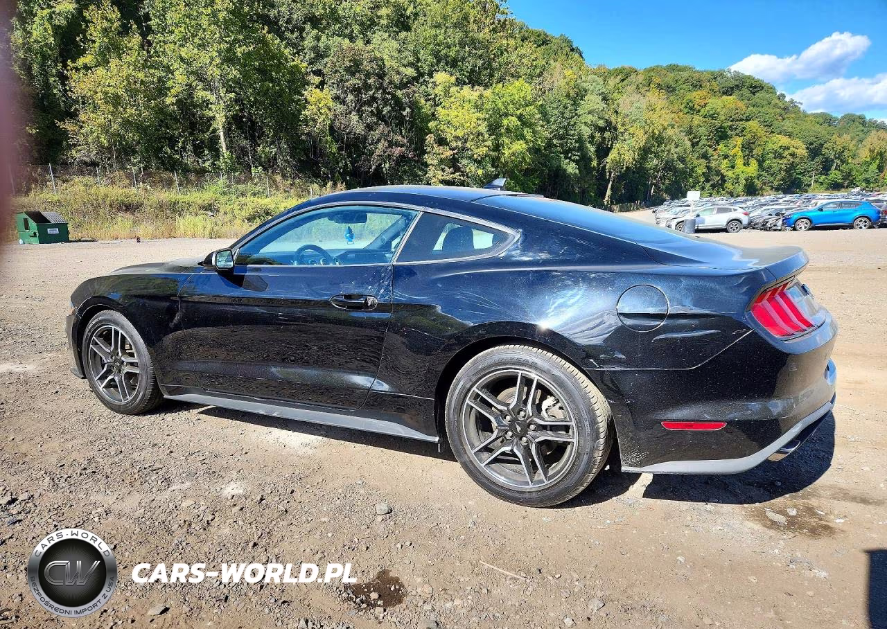 2021 Ford Mustang VIN:1FA6P8TH3M5157672 - 2