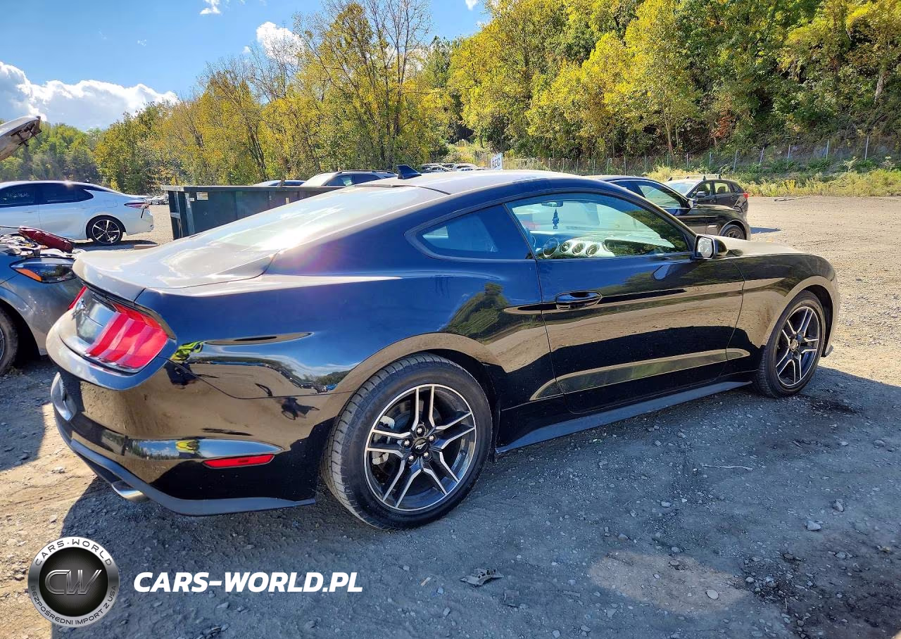 2021 Ford Mustang VIN:1FA6P8TH3M5157672 - 3