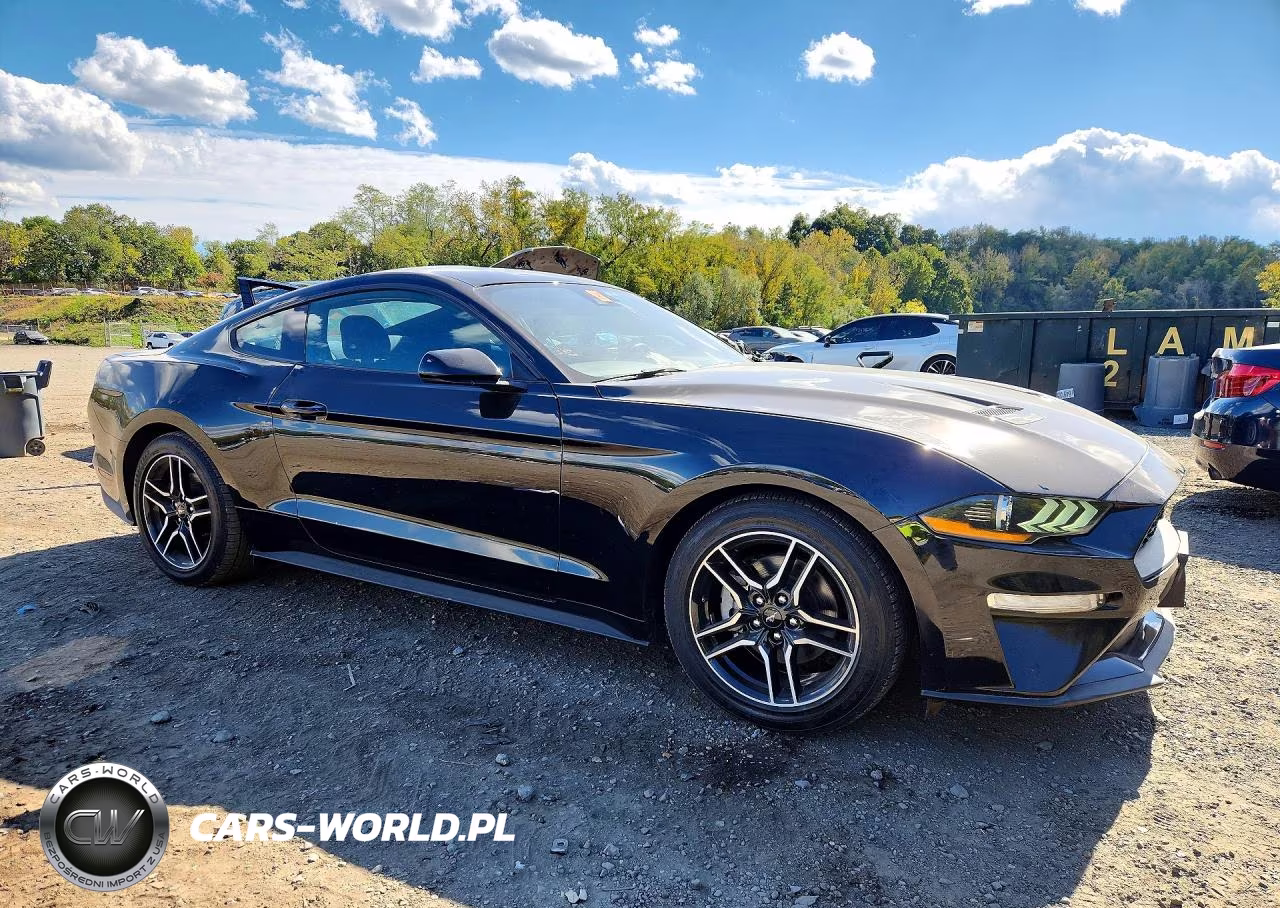 2021 Ford Mustang VIN:1FA6P8TH3M5157672 - 4
