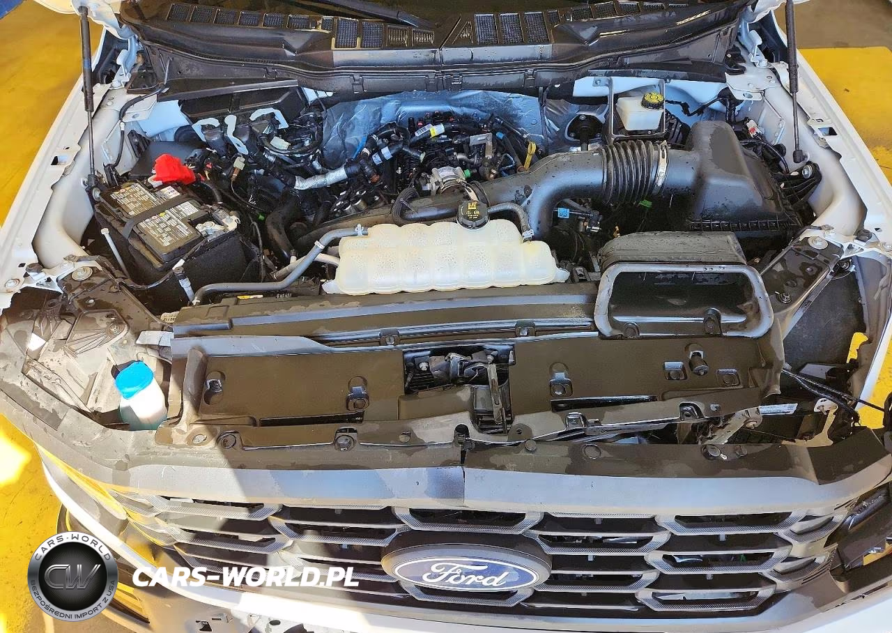 2024 Ford F150 Xl VIN:1FTEX1LP6RKD38469 - 11