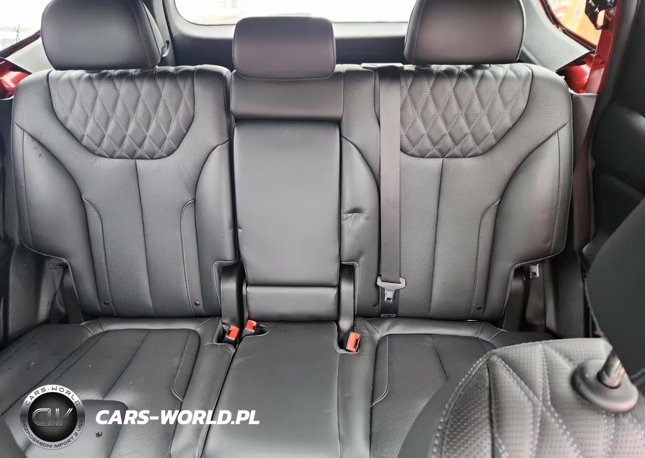 2023 Hyundai Santa Fe Calligraphy VIN:5NMS54AL1PH512497 - 10