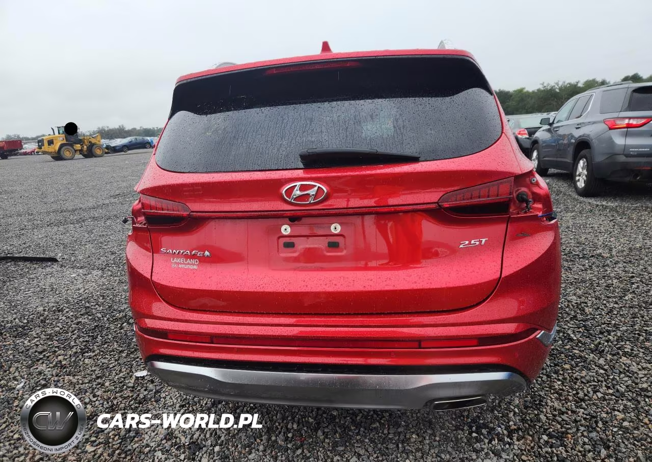2023 Hyundai Santa Fe Calligraphy VIN:5NMS54AL1PH512497 - 6