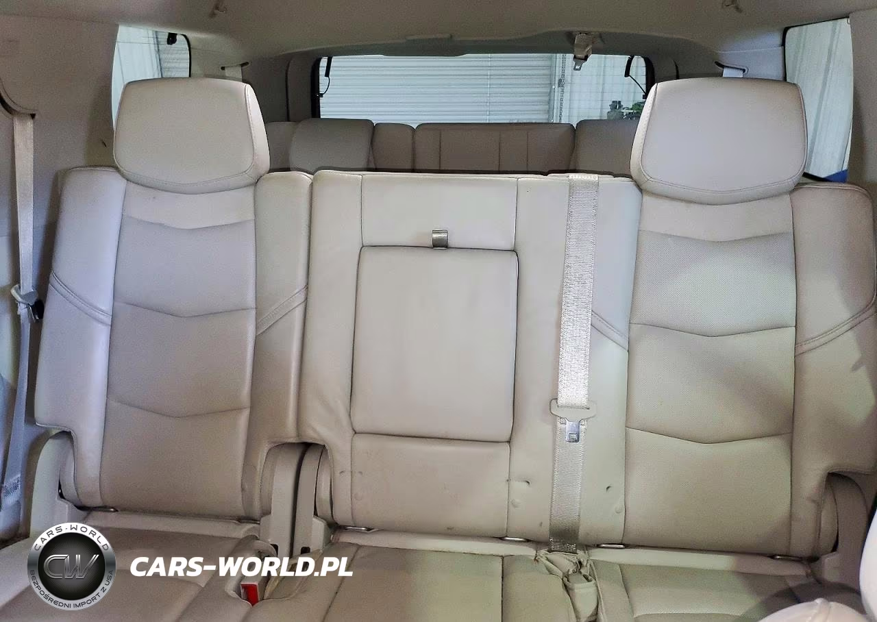 2015 Cadillac Escalade Premium VIN:1GYS4NKJ4FR685618 - 10