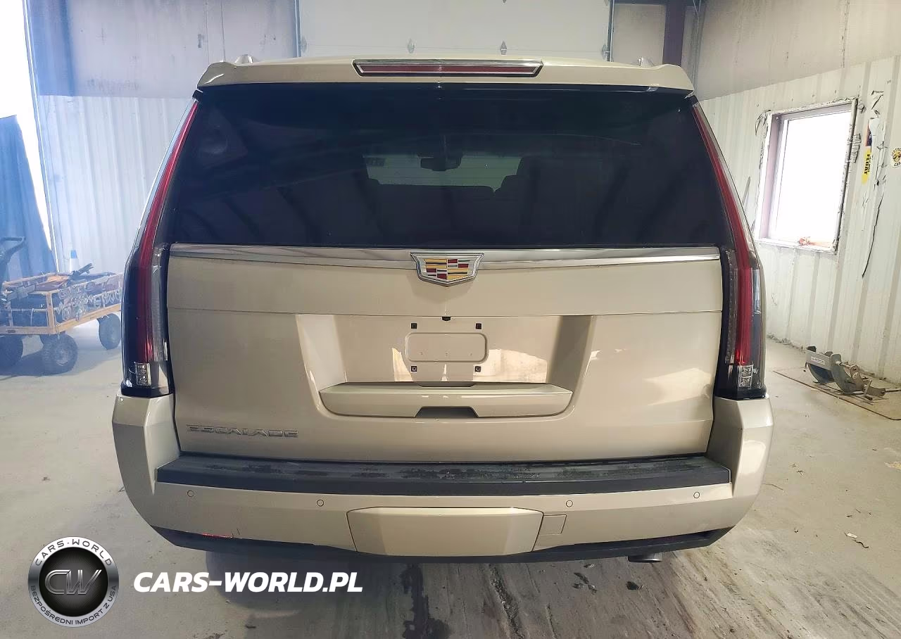 2015 Cadillac Escalade Premium VIN:1GYS4NKJ4FR685618 - 6