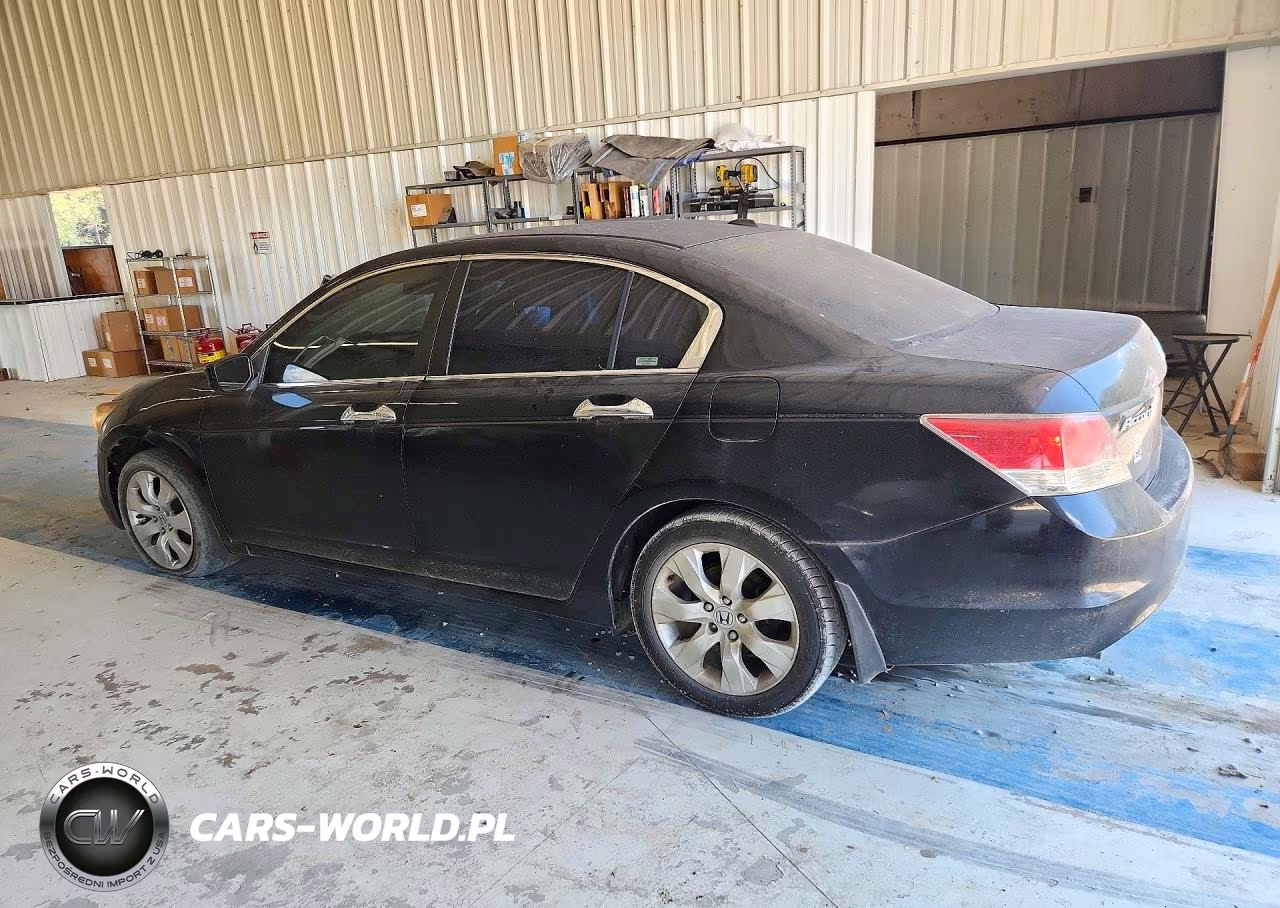 2009 Honda Accord Exl VIN:1HGCP368X9A020014 - 2