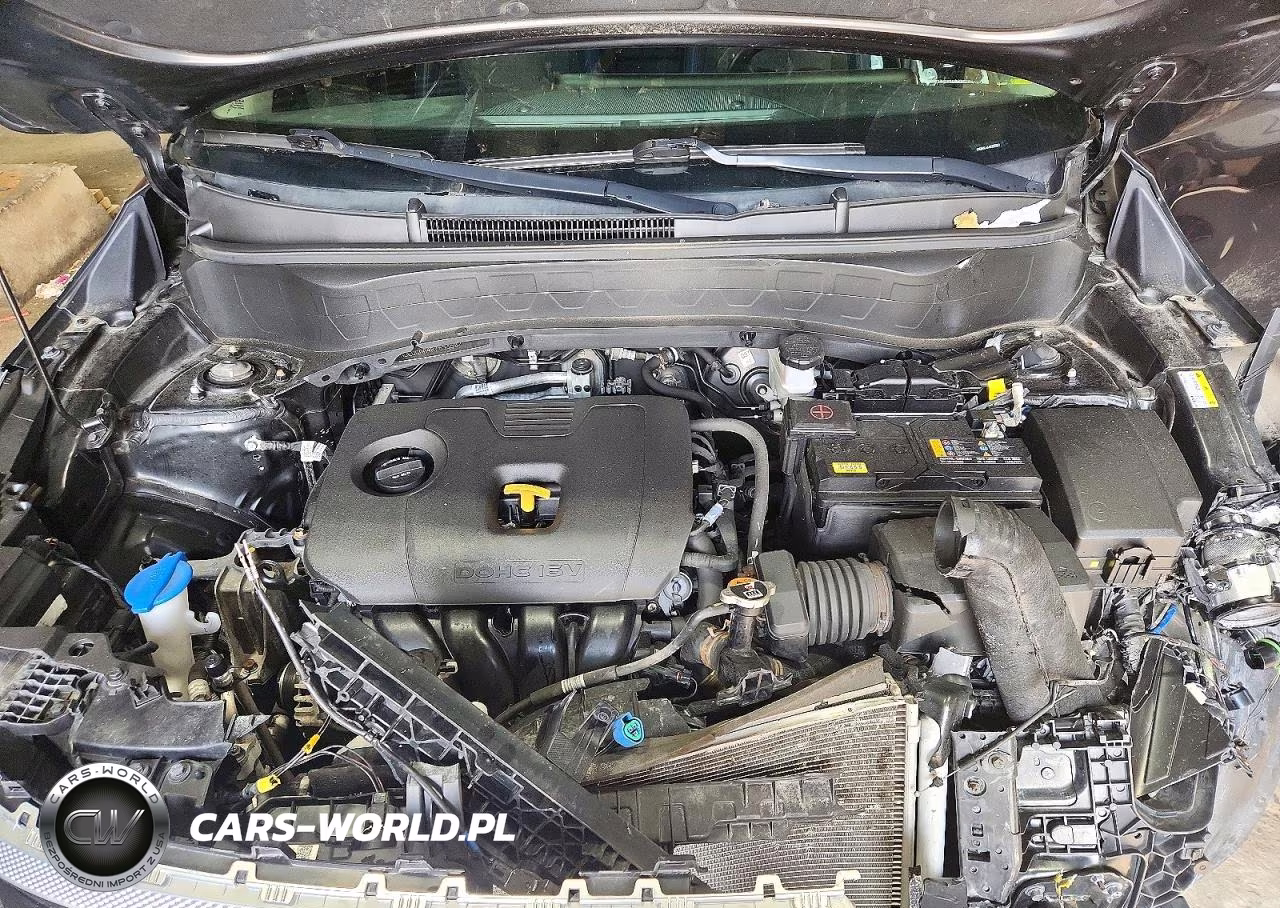 2024 Kia Seltos S VIN:KNDEUCAA4R7553502 - 12