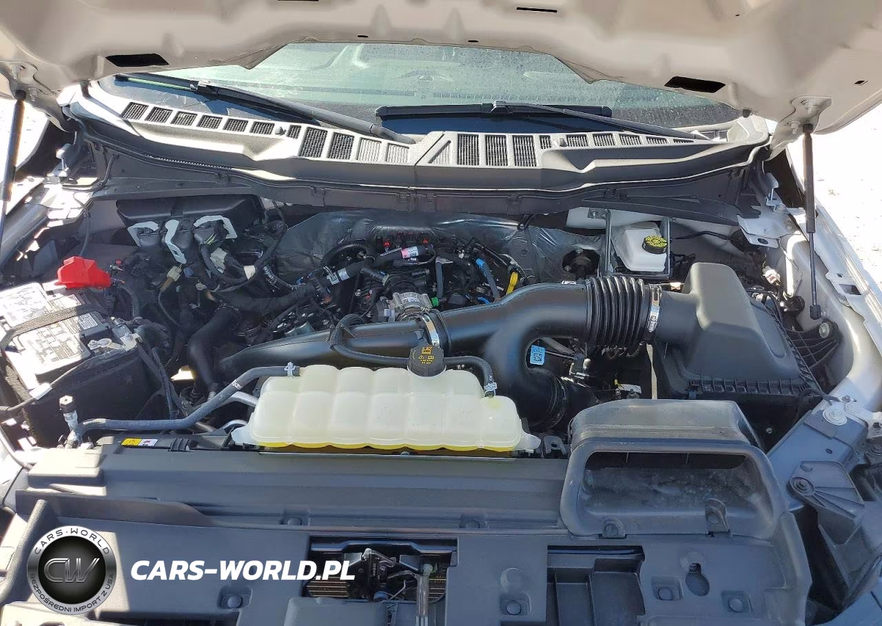 2025 Ford F150 Stx VIN:1FTEW2KP0SKF57671 - 11